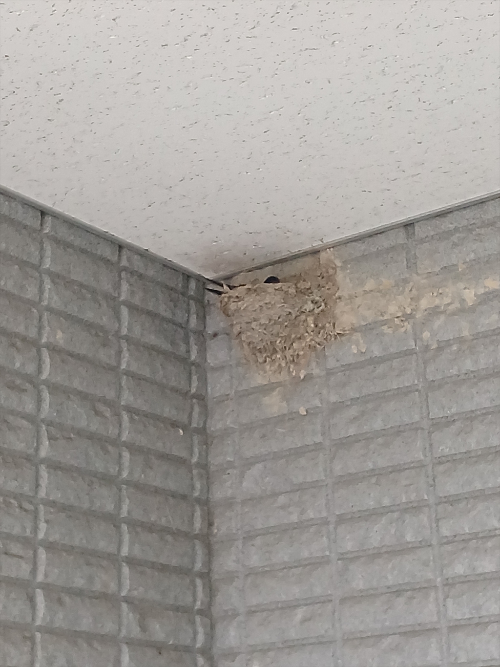 挨拶をする友田社長