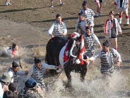 妙見祭　風景２