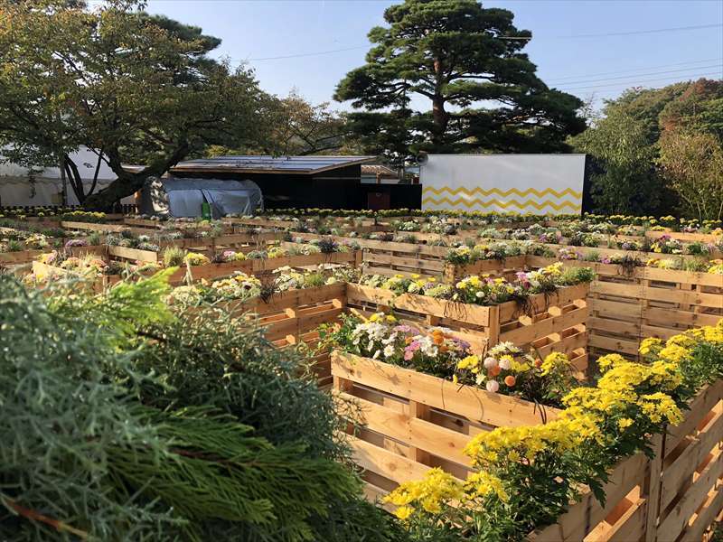 二本松の菊人形」で木製パレットをご利用いただきました - 梱包・包装