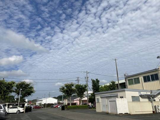 本社敷地内より撮影