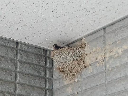 サステン株式会社本社