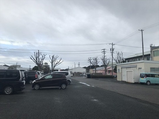 熱処理済み木製パレット