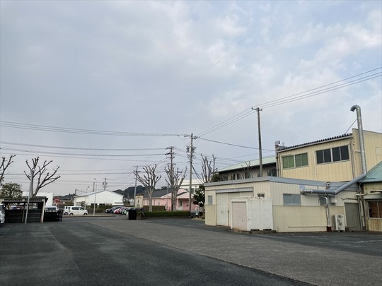 本社敷地内より